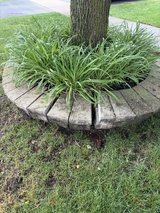 Landscaping Bricks in Plainfield, Illinois