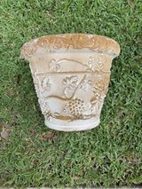 Lightweight Pot in Kingwood, Texas