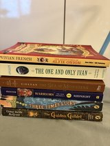 Teen books in Okinawa, Japan