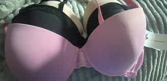 NWT Bras in Stuttgart, GE