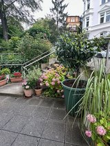 Unique penthouse with private elevator and underground garage. Superb view! central but quiet lo... in Wiesbaden, GE