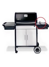 WEBER Spirit Genesis in Stuttgart, GE