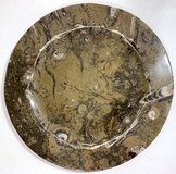 Vintage MCM Decorative Natural Fossil Stone Plate w/ Orthoceras Nautilus & Ammonite fossils in Bolingbrook, Illinois