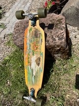 Skateboard Long Sector Nine Gullwing Sidewinder 33,5“ in Ramstein, Germany