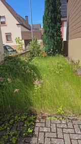 YARD WORK/ MOVING ASSISTANCE/ TRASH HAULING/ PCS CLEANING in Ramstein, Germany