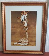 Mommy Giraffe Kissing her Baby! in Houston, Texas