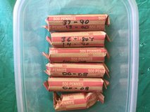 Indian Head Pennies in Alamogordo, New Mexico