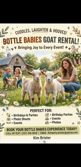 Baby Goat rental in Fort Polk, Louisiana
