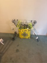 compound bow bear authority in Alamogordo, New Mexico