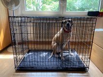 FREE Dog Kennel in Stuttgart, GE