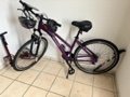 brand new bike + phone holder + upgraded seat cushion + pump + lock in Ramstein, Germany