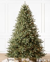 Christmas tree Canadian blue spruce in Ramstein, Germany
