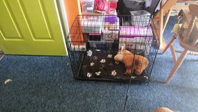 medium size dog crate in Lakenheath, UK