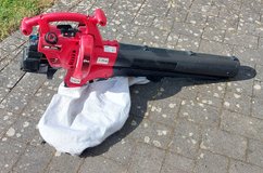 Leaf blower € Leaf sucker in Spangdahlem, Germany