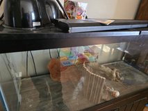 Reptile tank in Travis AFB, California