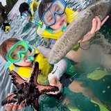 Churakids Summer Camp 2026 — Okinawa Overnight Adventure in Okinawa, Japan