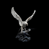 silve eagle in Spring, Texas