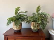 Fake plants in Fort Leonard Wood, Missouri