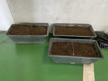 Free Potting Soil in Okinawa, Japan