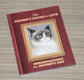 The Grumpy Guide to Life Book in Shorewood, Illinois