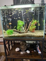 110 liter (29 gal) Aquarium in Okinawa, Japan