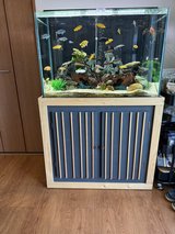 Kotobuki F-900 LH Aquarium with stand in Okinawa, Japan