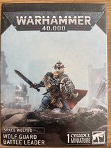 warhammer figurine still in the box in Stuttgart, GE