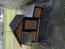 Free chickens and coop in Warner Robins, Georgia