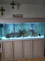 150 Gallon Tank in Alamogordo, New Mexico