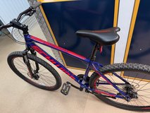 29 inch mountian bike in Ramstein, Germany