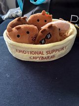 New - Emotional Support Capybaras in Plainfield, Illinois