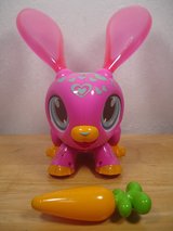 Build A Bot Bunny in Okinawa, Japan