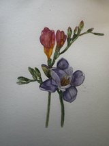Original Watercolor in Aurora, Illinois