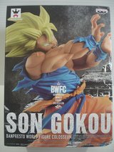 Dragon Ball BWFC SS Gokou in Okinawa, Japan