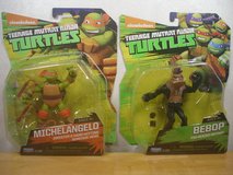 TMNT Mikey & Bebop in Okinawa, Japan