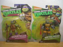 TMNT Donnie & Metalhead in Okinawa, Japan