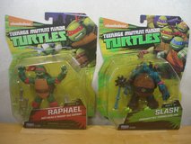 TMNT Raph & Slash in Okinawa, Japan