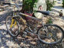 Men's 18spd Trek Mountain  Bike in Vacaville, California