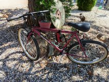Men's Custom Design Scorpio Bike in Vacaville, California