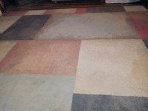 8x10 area rug in Houston, Texas