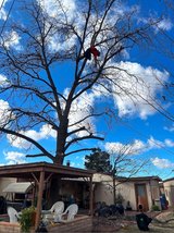 day laborers needed in Alamogordo, New Mexico