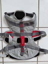 Ruff wear harness with belly guard in Ramstein, Germany