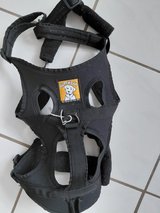 Ruff wear harness in Ramstein, Germany