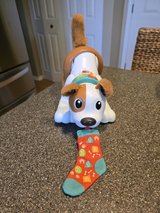 Fisher-Price 123 Crawl with Me Puppy in Aurora, Illinois