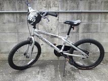 20" Silver Bicycle in Okinawa, Japan