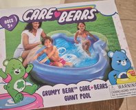 Care Bears Pool in Kingwood, Texas