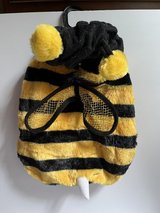 Small Bee Dog Costume in Alamogordo, New Mexico