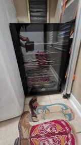Wine Chiller in Kingwood, Texas