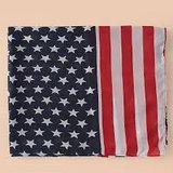 Flag Scarf in Kingwood, Texas