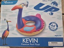 Kevin Pool Float in Kingwood, Texas